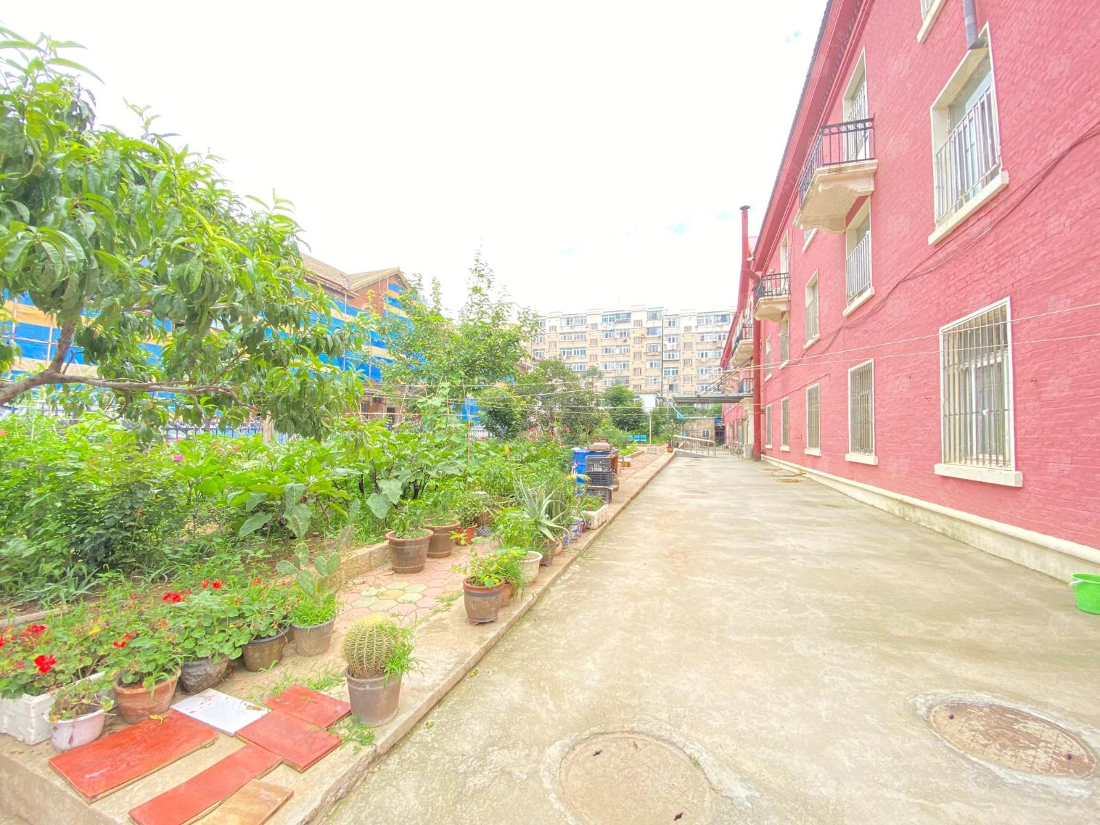 坤大怡老院环境展示