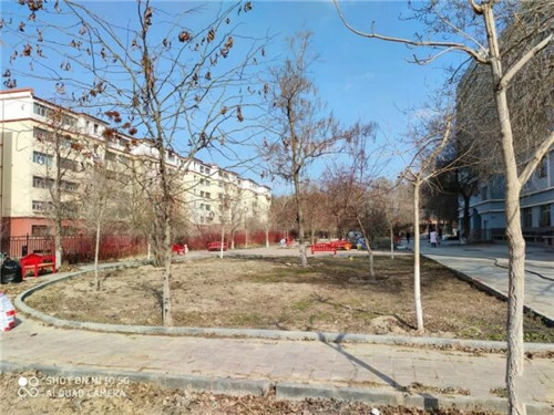 我和春天有个约会——大连养老院