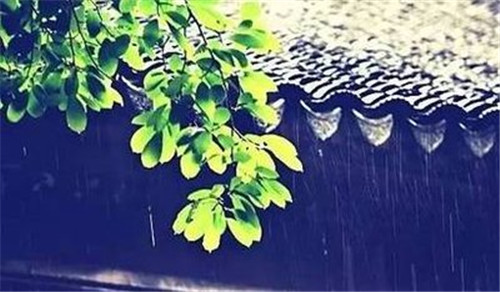 老年人梅雨期怎么过得更舒适、健康?