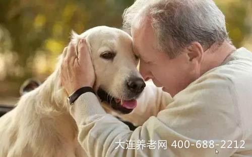 老年人养宠物的好处有哪些？