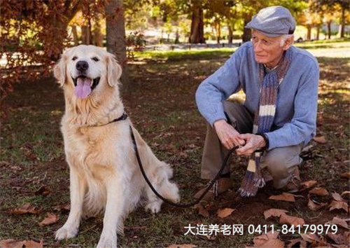 要长寿，养条狗！？研究证明：老年人养宠物好处多