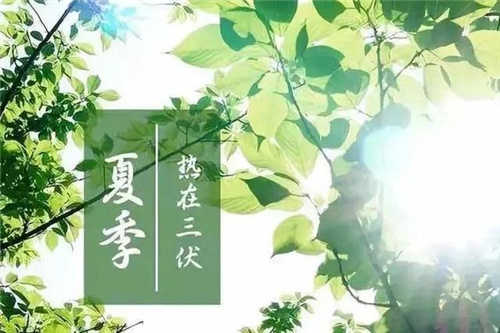 养老网夏至养生4大原则，教老年人健康过夏至