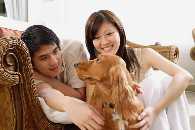 结婚后不要孩子，做丁克族，老人能接受吗？