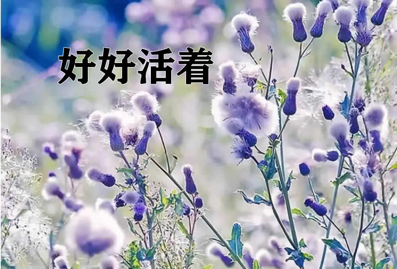 70岁老人对年轻人的忠告：过好自己的生活